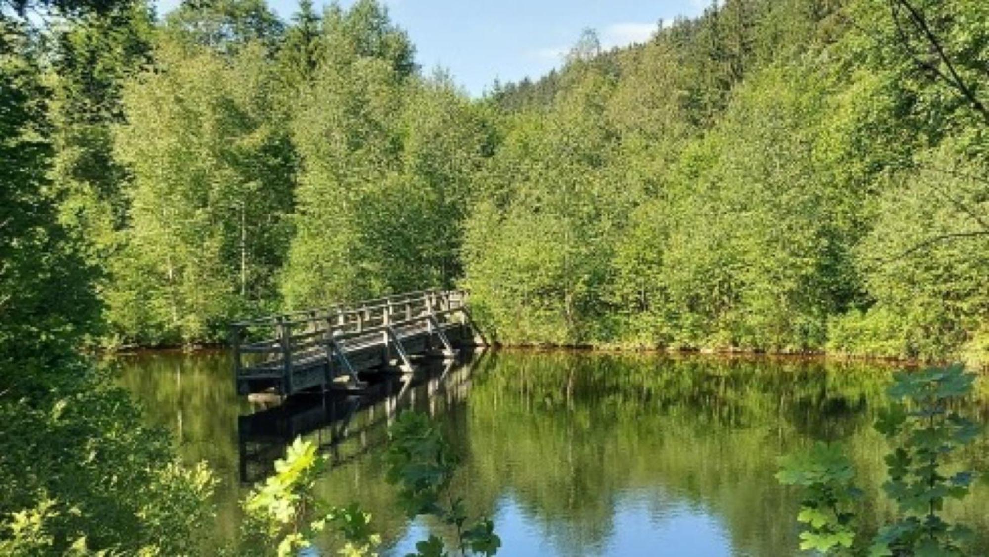 Вилла Grundhof Oberprechtal Экстерьер фото