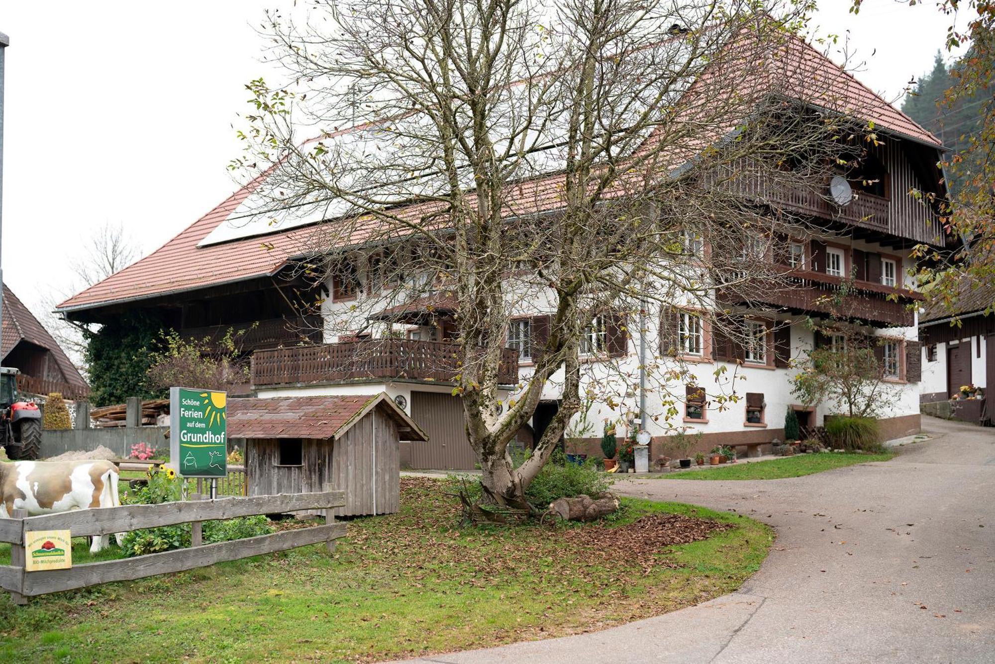 Вилла Grundhof Oberprechtal Экстерьер фото